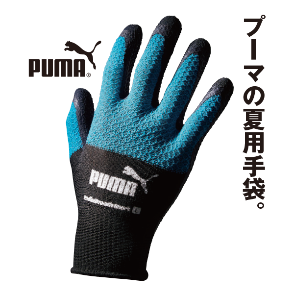 PUMA硼ȥ֡ʥ