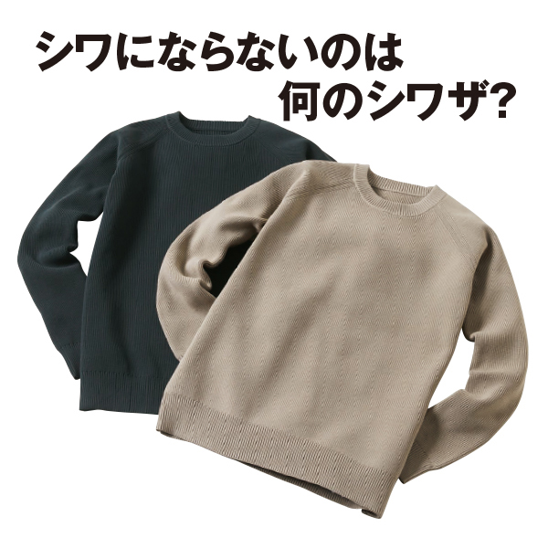 SOLOTEXR使用 ウォッシャブルクルーネックニット