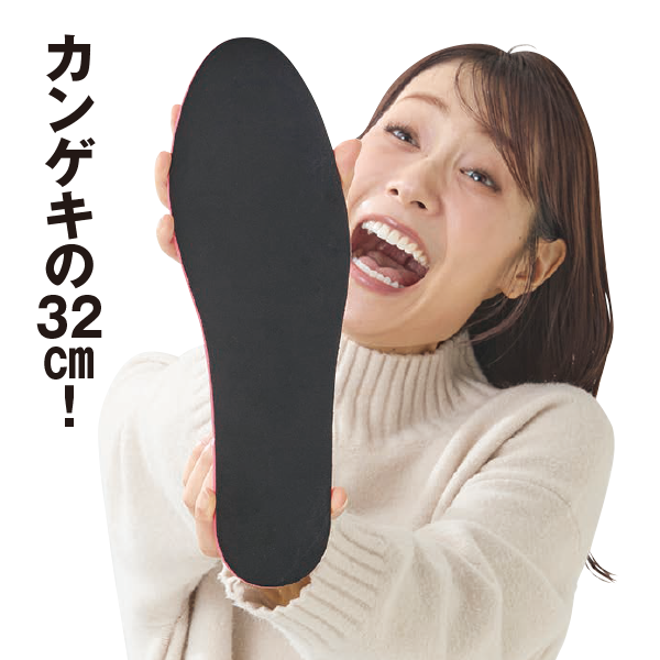 断熱保温インソール