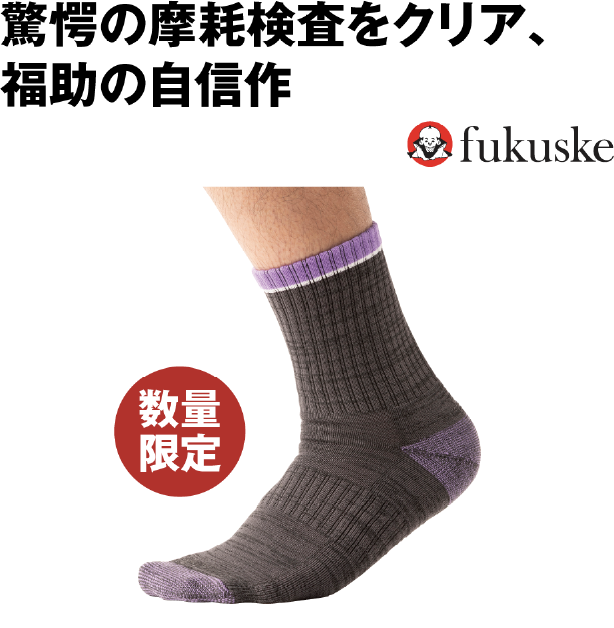 70万回耐久 レギュラーソックス