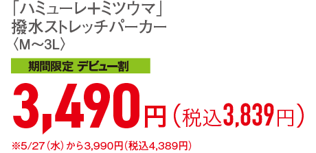 3,490円（税込3,839円）