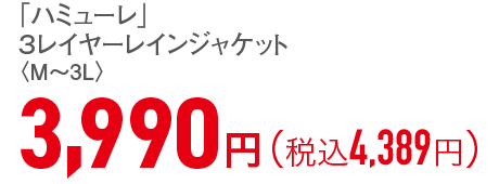 3,990円（税込4,389円）