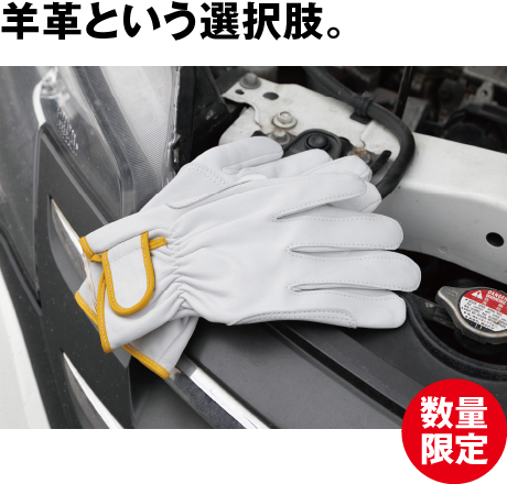 羊革当付き手袋