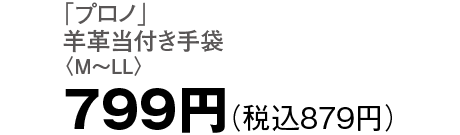 799円（税込879円）