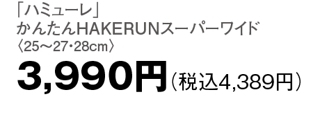 3,990円（税込4,389円）