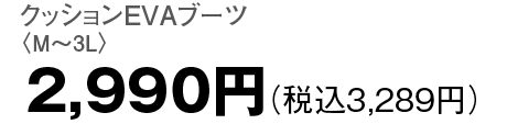2,990円（税込3,289円）