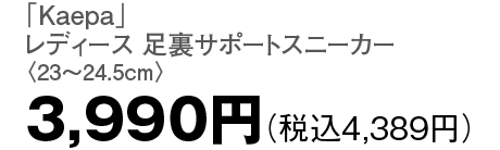 3,990円（税込4,389円）