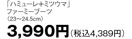 3,990円（税込4,389円）