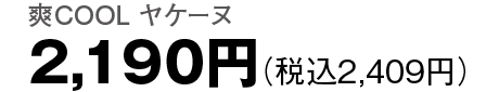 2,190円（税込2,409円）
