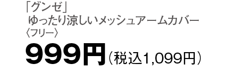 999円（税込1,099円）