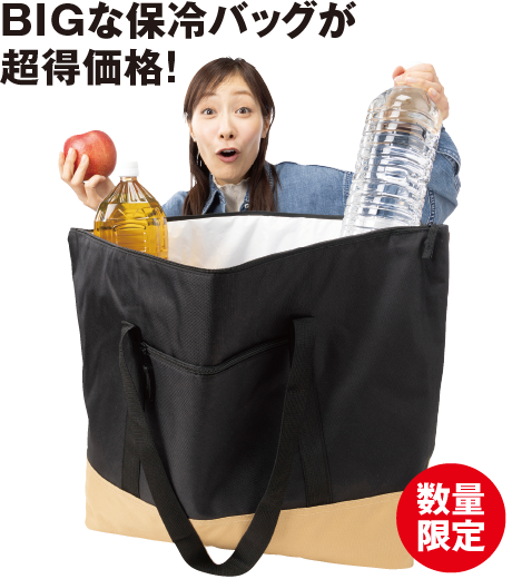 保冷ビッグトート