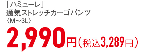 2,990円（税込3,289円）
