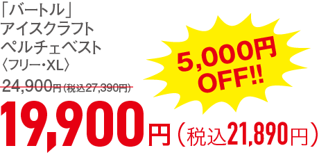 19,900円（税込21,890円）