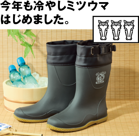 ひんやりベールノース