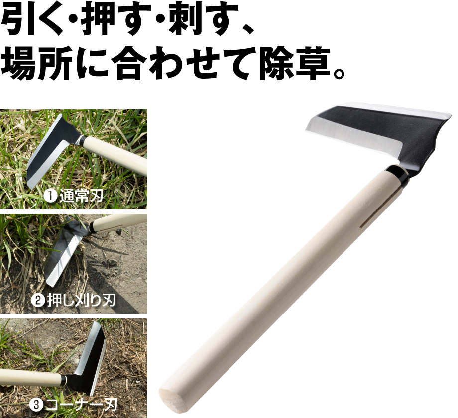 菊堂豊稔 赤坂式三得小鎌