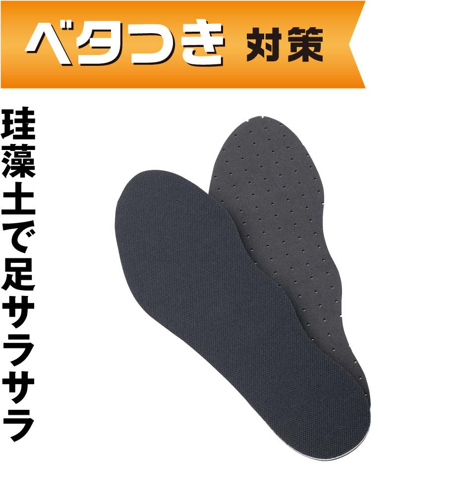 消臭珪藻土インソール