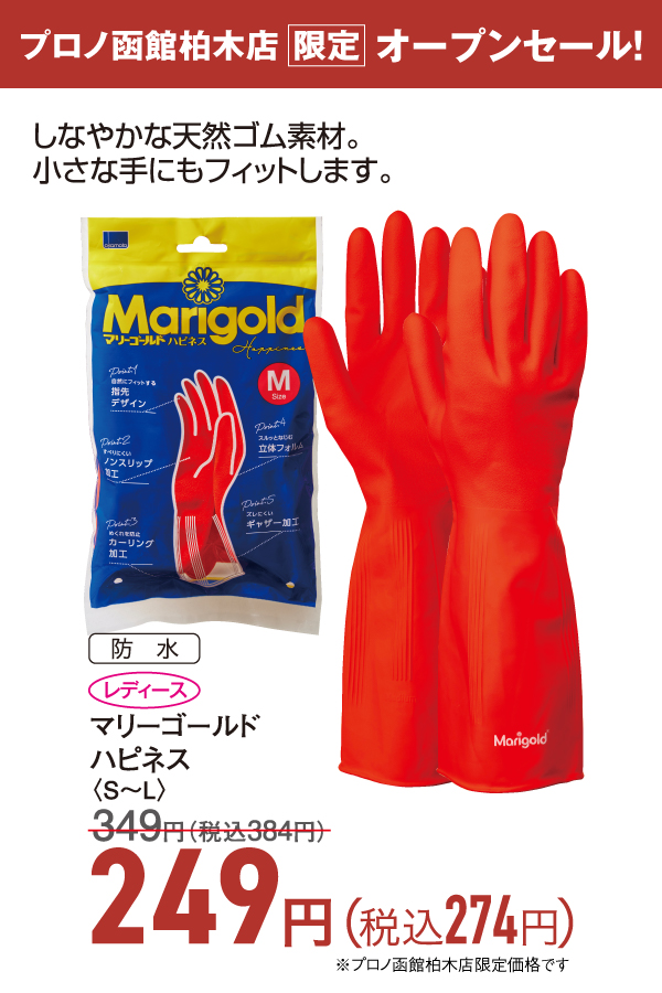 マリーゴールド