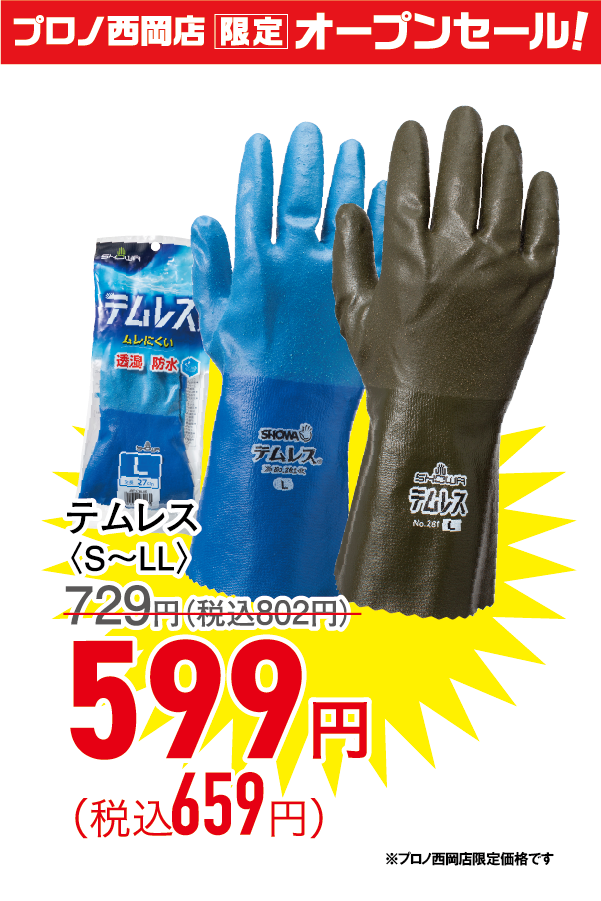 テムレス