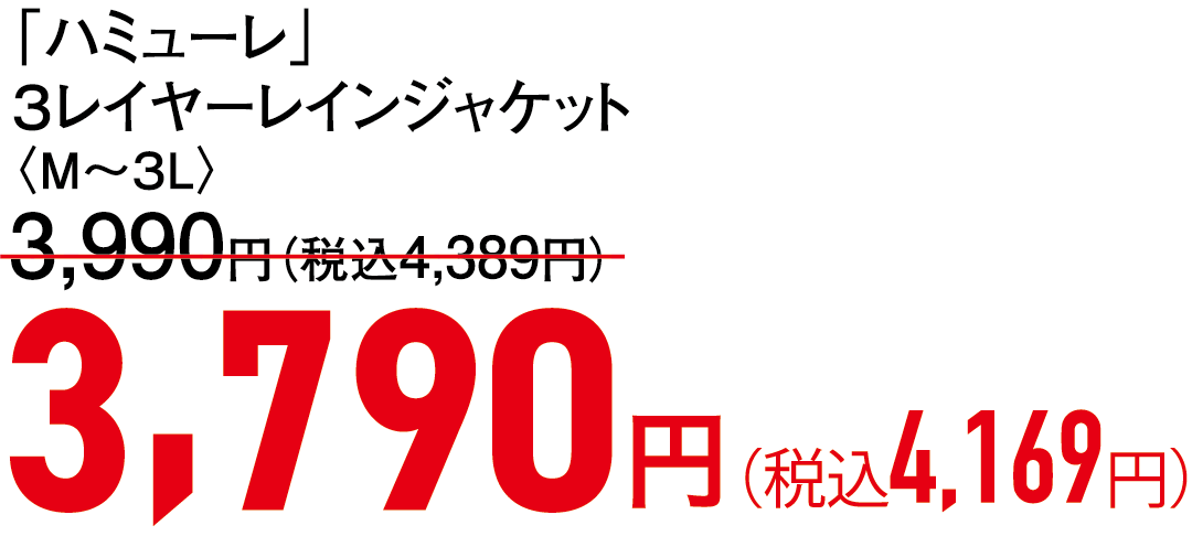 3,790円（税込4,169円）