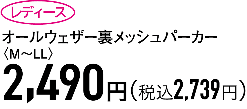 2,490円（税込2,739円）
