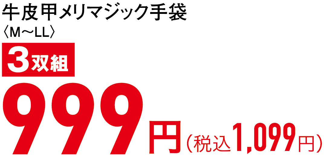 999円(税込1,099円)