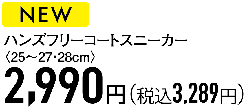 2,990円（税込3,289円）
