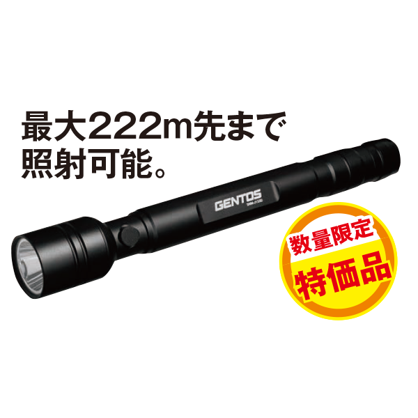 ハンドライトSNM