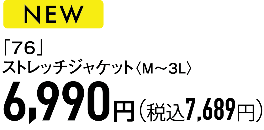 6,990円（税込7,689円）