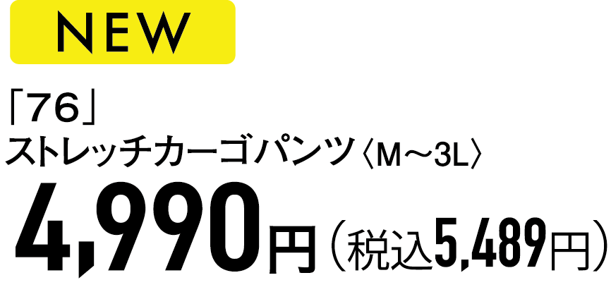 4,990円（税込5,489円）