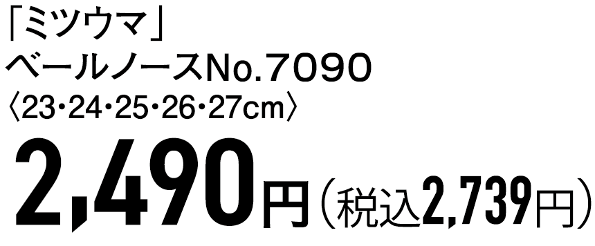 2,490円（税込2,739円）